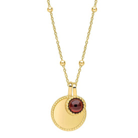 Stříbrný náhrdelník Birthstone Gold plated Leden