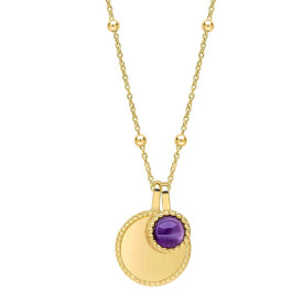 Stříbrný náhrdelník Birthstone Gold plated Únor