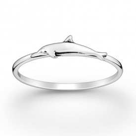 Stříbrný prsten Delfin