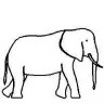 slon.jpg